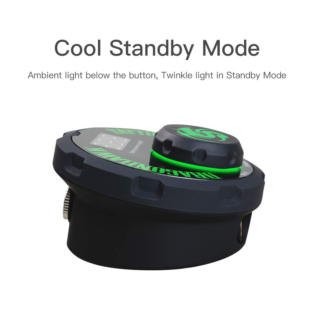 Sursa de alimentare pentru aparat de tatuaj RCA, reglabila, mod de lucru dual, stabilitate ridicata, Dragonhawk Airfoil Tattoo P087