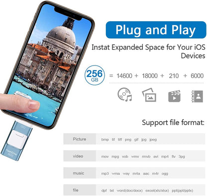 Memorie USB 256 GB 4 in 1, Flash Drive pentru Android si IOS, cu USB C, Micro USB, Apple Lightning, functie OTG, pentru Iphone, Ipad, smartphone, tableta, PC, laptop, albastru