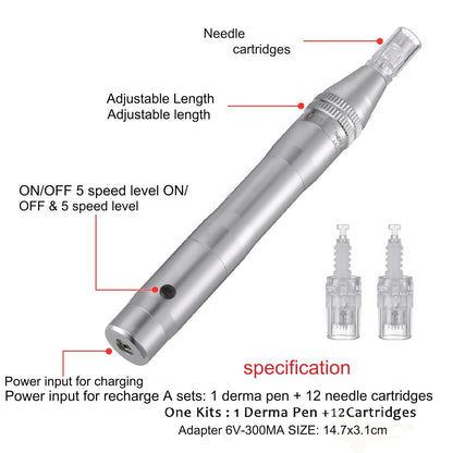 Aparat masaj facial tip stilou, dermapen, wireless, 12 capete rezerva cu 12 ace din titan, reglabil de la 0,25 la 2,5 mm, 5 trepte de intensitate, regenerarea pielii, argintiu