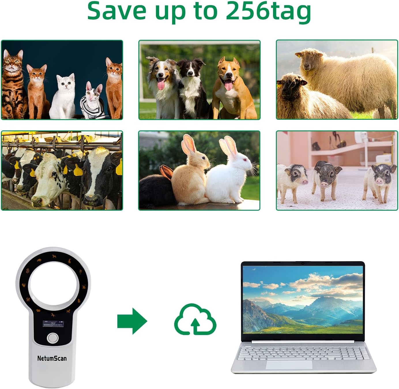 Cititor cipuri animale portabil, cu display OLED, reincarcabil, suporta tehnologie ISO 11784/11785 si ID64 RFID, stocare date, pentru caini, pisici si crotalii ureche