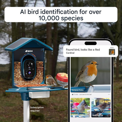 Hranitoare inteligenta pentru pasari cu camera, identificarea pasarilor, 2,4 GHz/5 GHz, alimentata cu energie solara, notificari instantanee, camera cu vizualizare live 2K pentru hranirea pasarilor