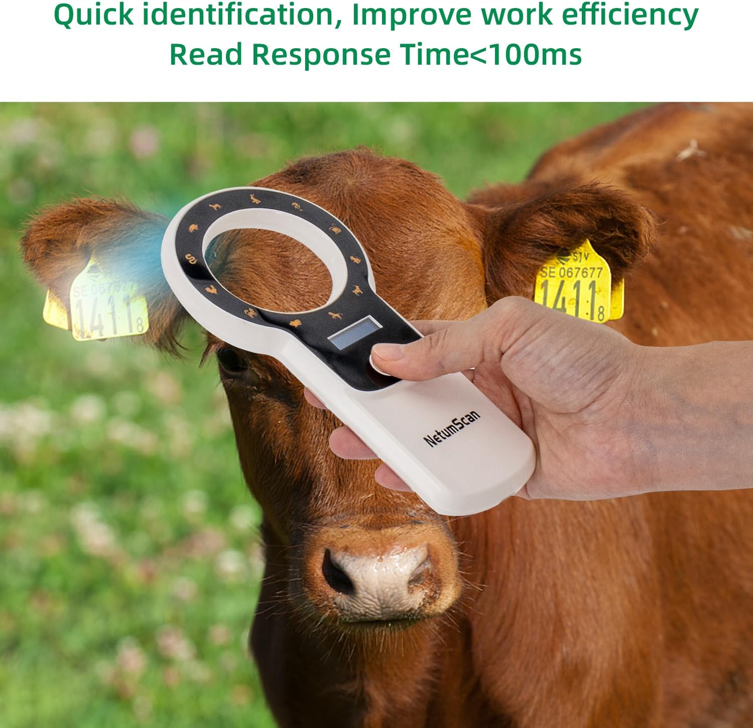 Cititor cipuri animale portabil, cu display OLED, reincarcabil, suporta tehnologie ISO 11784/11785 si ID64 RFID, stocare date, pentru caini, pisici si crotalii ureche