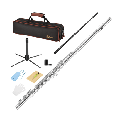 Flaut Eastar C cu 16 note, Offset G, set cu stand, geanta de transport, manusa, kit de curatare si tija de acordare, pentru incepatori, copii si elevi, Nichel