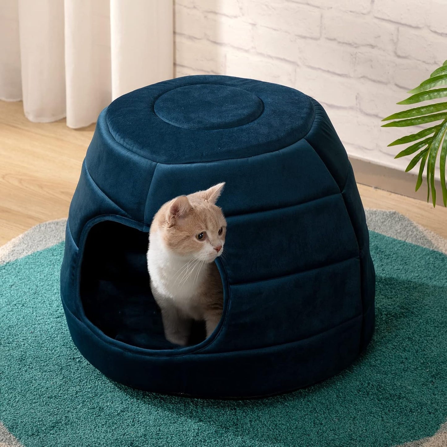 Patut caini si pisici 2 in 1, culcus pliabil pentru animale de companie mici, forma casuta si pat, din bumbac si tesatura de catifea, albastru inchis