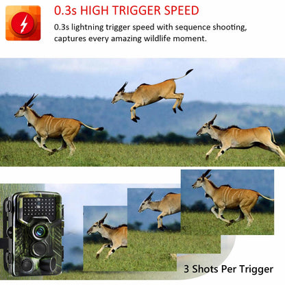 Camera de vanatoare cu senzor de miscare , HC-800A , 16 MP , full HD , 1080P , night vision , hunting camera ,