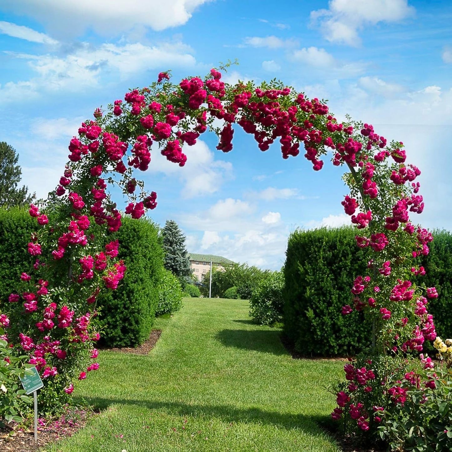 Arcada metalica, pergola arcuita pentru trandafiri, decor, nunta, botezuri, gradina, aniversari, petreceri, rezistenta la apa, 240 x 140 x 38 cm