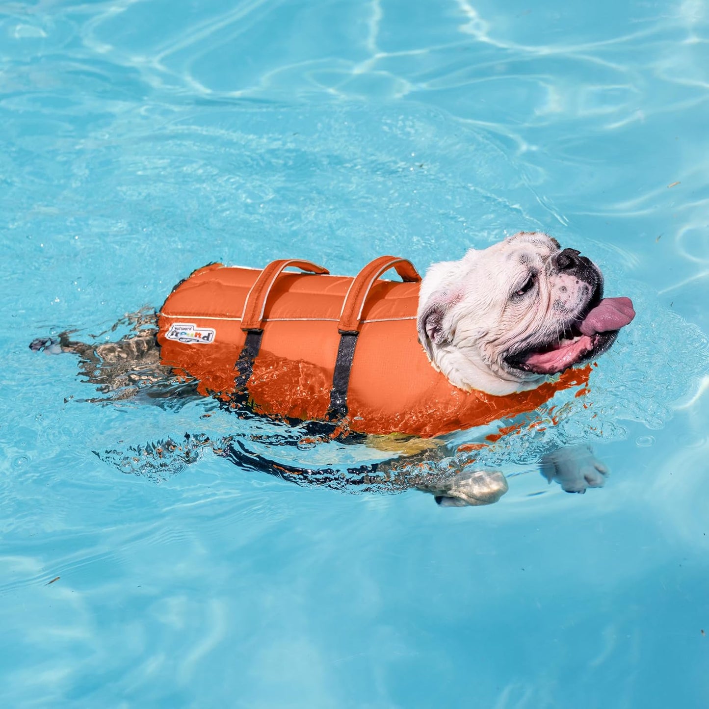 Vesta de salvare pentru caini marimea L, Outward Hound Granby Splash, greutatea minima 25 kg, portocaliu, cu accente reflectorizante, bretele reglabile, banda abdominala si maner de transport pentru salvare