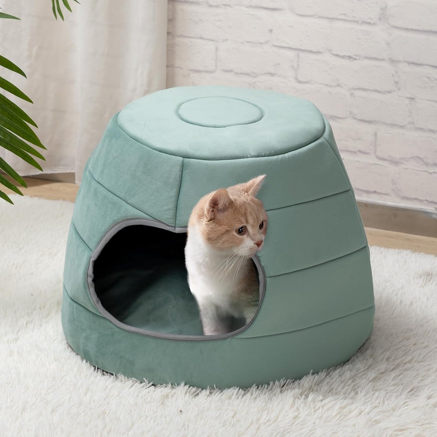 Patut caini si pisici 2 in 1, culcus pliabil pentru animale de companie mici, forma casuta si pat, din bumbac si tesatura de catifea, turcoaz