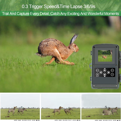 Camera de vanatoare cu senzor de miscare , HC-800A , 16 MP , full HD , 1080P , night vision , hunting camera ,