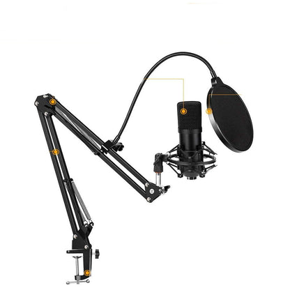 Microfon cu condensator USB ,brat cu menghina , filtru pentru inregistrare PC